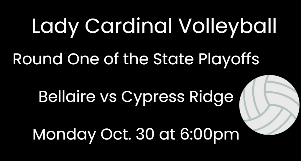 BHS Volleyball Playoffs